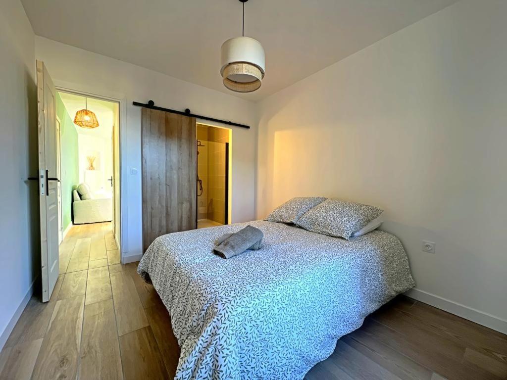 Appartement Coup De Coeur. St Etienne-Rochetaillee Saint-Etienne  Luaran gambar