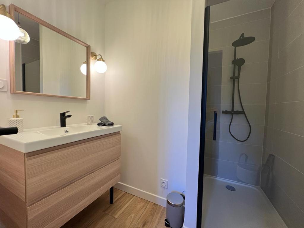 Appartement Coup De Coeur. St Etienne-Rochetaillee Saint-Etienne  Luaran gambar